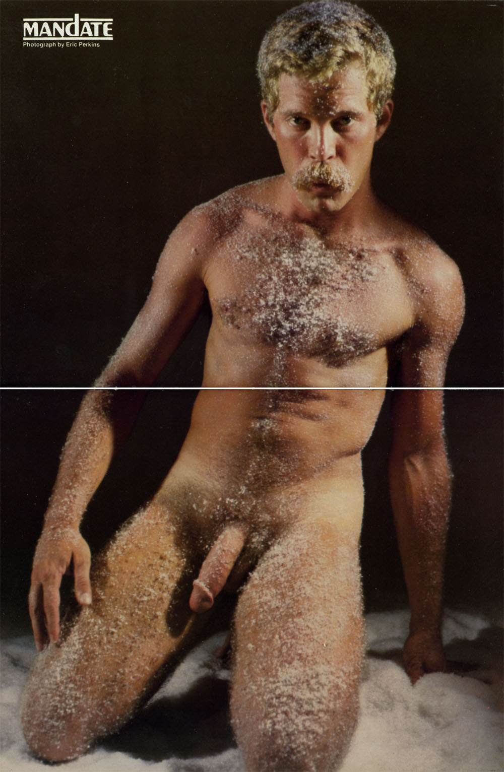 60s Hairy Porn Stars - Vintage 60s Hairy Gay Porn Images | Gay Fetish XXX