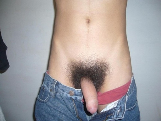 640px x 480px - Hairy Penis Gay Porn image #70239
