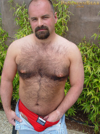 gay bear porn Pic dave pantheon bear hairy goatee sexy hot ass jockstrap cock ring football jersey beefy stocky gay porn paw tattoo boots jeans footballers