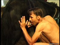 gay male having sex zoo pics gay bestiality videos man having animal men havin