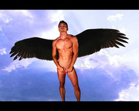 nude muscular males fullxfull listing dark angel muscular male sixpack