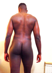 Pics of gay black porn bootymail schoneseelen gay black porn star back make dick rise again